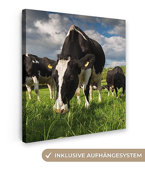 OneMillionCanvasses® Leinwandbild Kühe - Tiere - günstig online kaufen