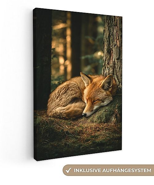 OneMillionCanvasses® Leinwandbild Fuchs - Wald - Schlaf, Fotodruck (1 St), günstig online kaufen