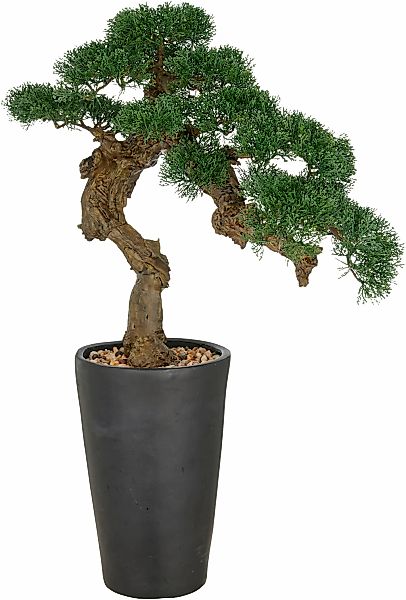 Creativ green Kunstbonsai "Bonsai Zeder", im besonderen Pflanzgefäß günstig online kaufen