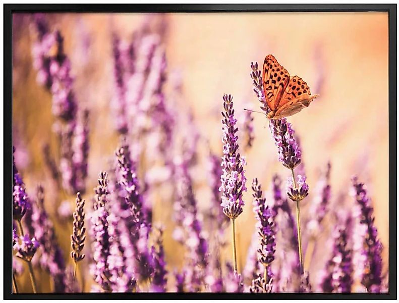 Wall-Art Poster "Schmetterling Lavendel", Schmetterlinge, (Set, 1 St.) günstig online kaufen