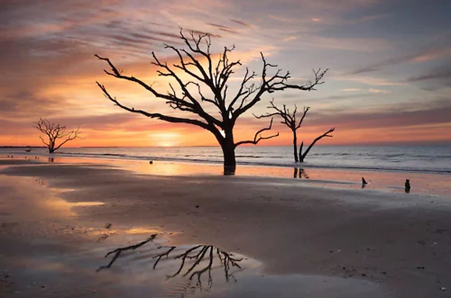 Papermoon Fototapete »Bäume an Strand« günstig online kaufen