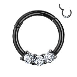 Taffstyle Nasenpiercing Piercing Segmentring Scharnier Clicker günstig online kaufen
