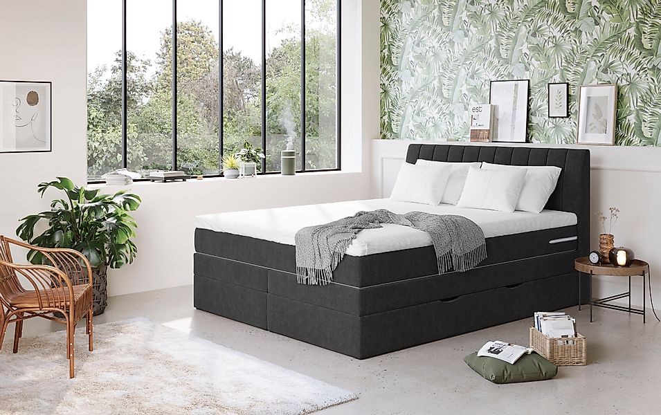 COTTA Boxspringbett »Shark inkl. Bettkasten und Topper«, erhältlich in den günstig online kaufen