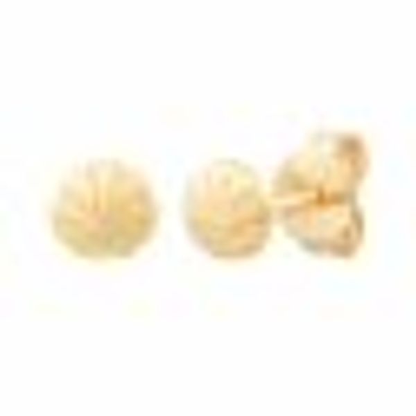 Ohrstecker 925 Sterling Silber gelb vergoldet Muschel günstig online kaufen