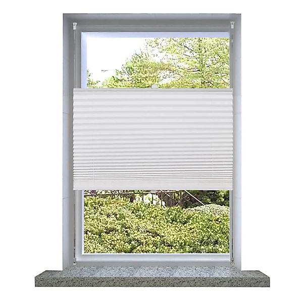 vidaXL Verdunklungsplissee 60×100 cm Weiß günstig online kaufen