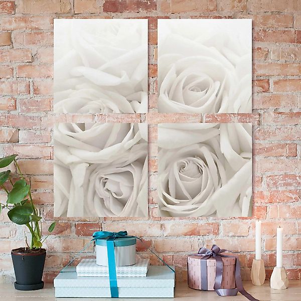 4-teiliges Leinwandbild Blumen - Quadrat Weiße Rosen günstig online kaufen