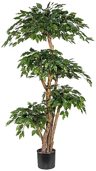 Kunstpflanze Ficus Benjamini, Creativ green, Höhe 170 cm günstig online kaufen