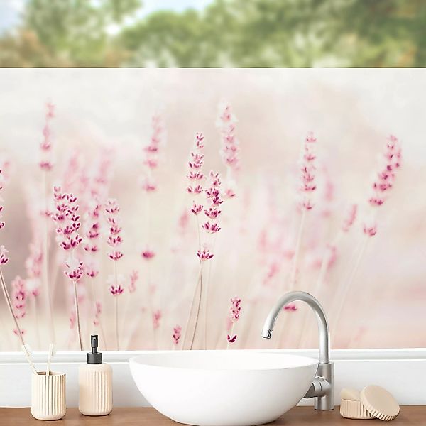 Fensterfolie Zartrosaner Lavendel günstig online kaufen