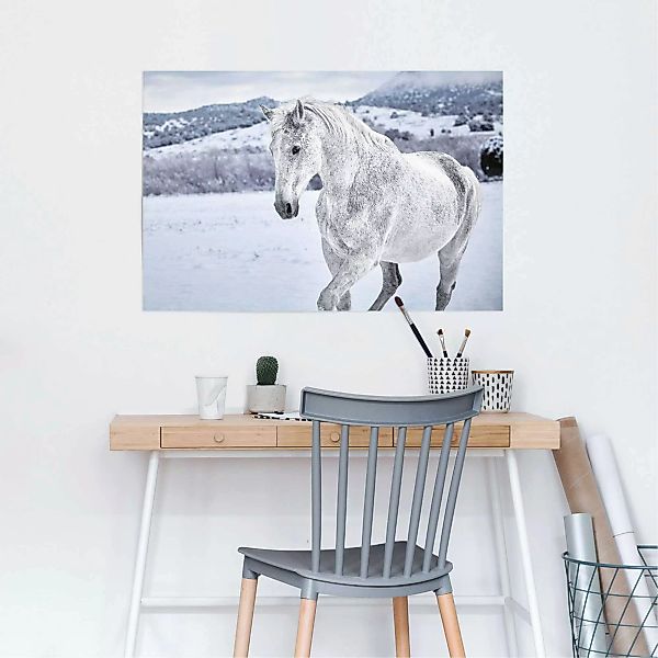Reinders Poster "Pferd im Schnee", (1 St.) günstig online kaufen