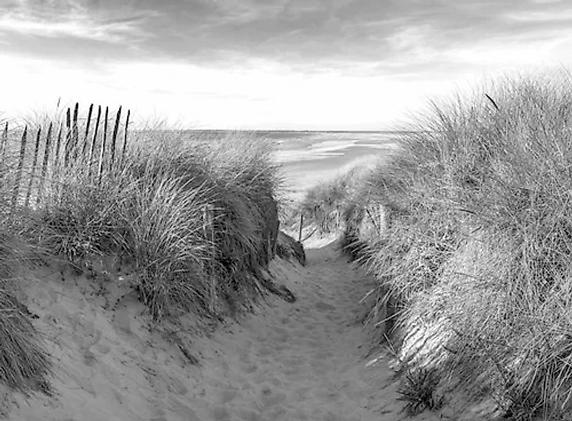 Papermoon Fototapete »Strand Schwarz & Weiß« günstig online kaufen