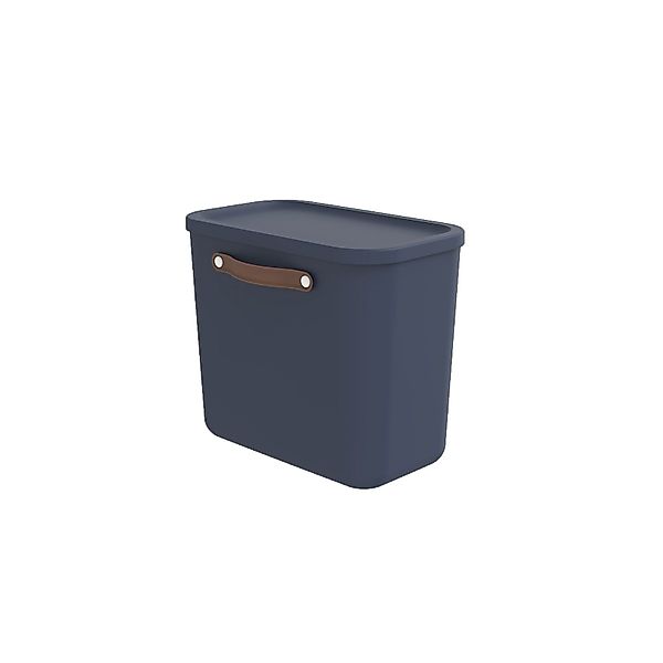 ROTHO Aufbewahrungsbox Aufbewahrungsbox mit Deckel 25 günstig online kaufen