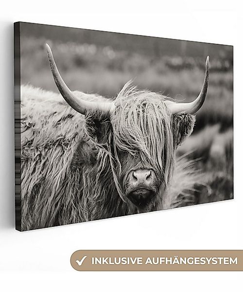 OneMillionCanvasses® Leinwandbild Schottischer Highlander - Kuh - Tiere - S günstig online kaufen