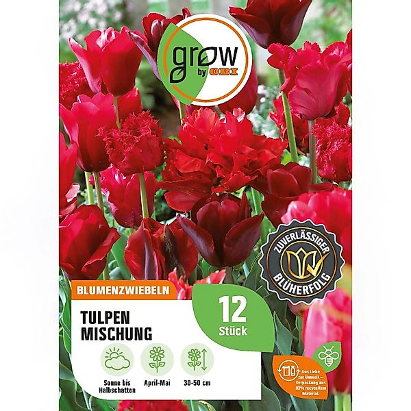 GROW by OBI Tulpen Mischung Nr.5 / 12 Stück Tulipa mix günstig online kaufen