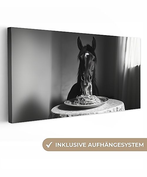 OneMillionCanvasses® Leinwandbild Panorama Pferd - Teller günstig online kaufen