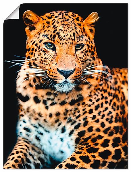 Artland Wandbild "Wütender wilder Leopard", Wildtiere, (1 St.), als Alubild günstig online kaufen