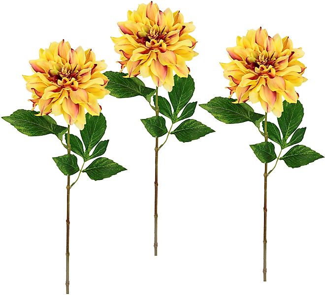 I.GE.A. Kunstblume "Dahlie", Einzelblume, Stielblume, 3er Set günstig online kaufen