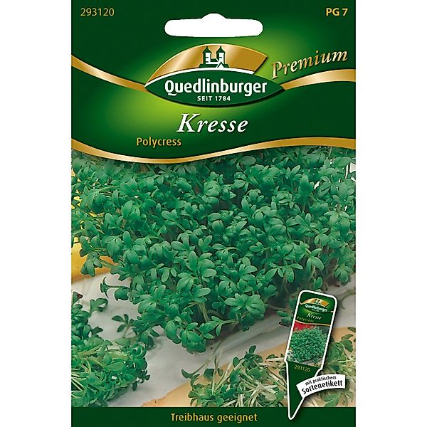 Quedlinburger Gartenkresse Polycress Loses Saatgut günstig online kaufen