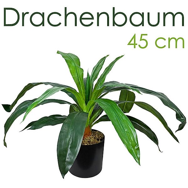 Künstliche Zimmerpflanze Drachenbaum Kunstpflanze Künstliche Pflanze günstig online kaufen