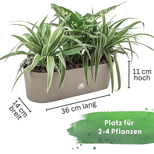 LENI Jardiniere Blumentopf länglich Pflanzkasten 36 günstig online kaufen