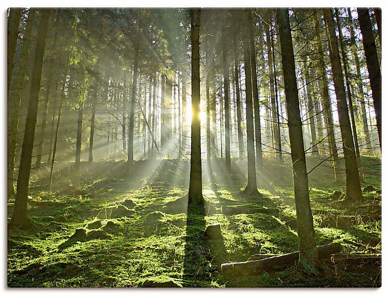 Artland Wandbild "Wald im Gegenlicht", Wald, (1 St.), als Leinwandbild, Pos günstig online kaufen