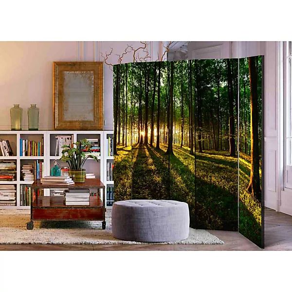 Spanischer Raumteiler mit Wald Motiv bei Sonnenaufgang 225 cm breit günstig online kaufen