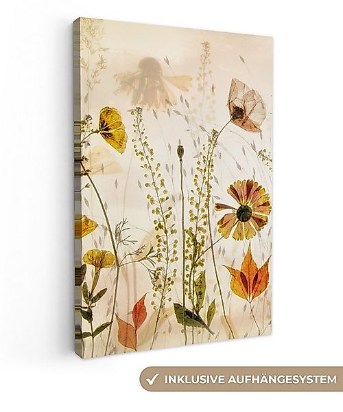 OneMillionCanvasses® Leinwandbild Illustration - Pflanzen - Insekten - Beig günstig online kaufen