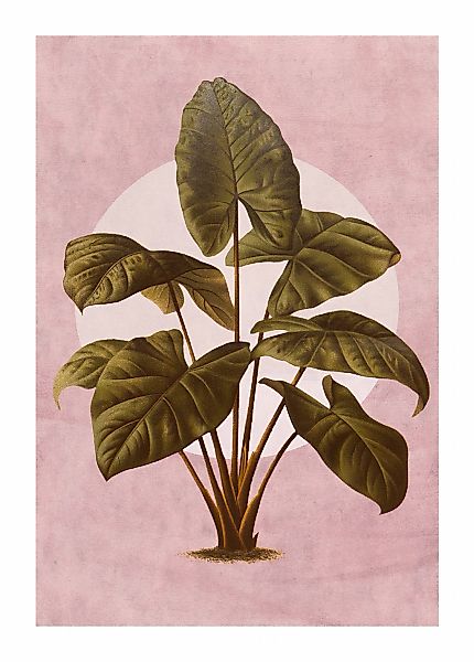 Komar Bild "Créatures Végétales" Natur 1 Stk. tlg. Wandbild zur Dekoration günstig online kaufen