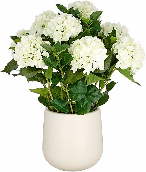 Creativ green Kunstpflanze "Hortensie", im eleganten Topf günstig online kaufen