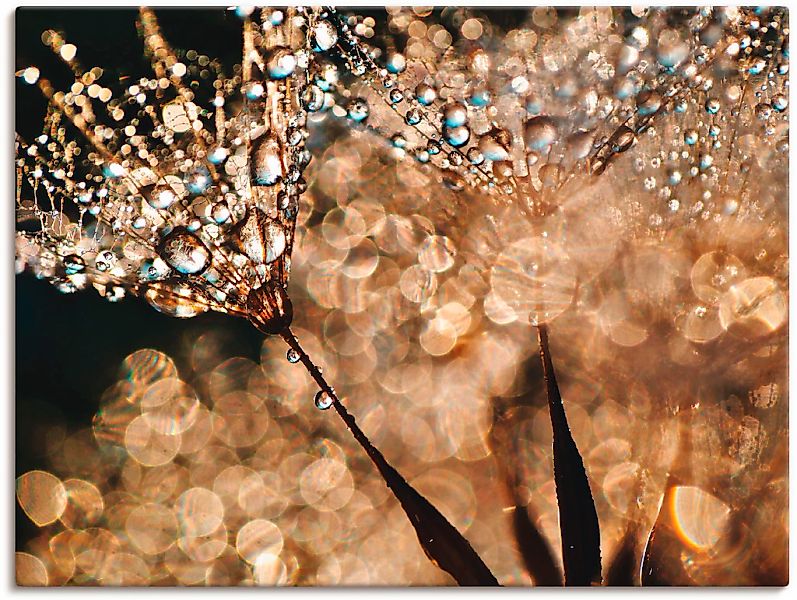 Artland Wandbild "Pusteblume Goldschimmer" Blumen 1 Stk. tlg. als Alubild, günstig online kaufen