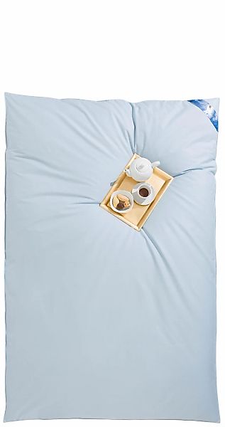 RIBECO Federbettdecke »Leon, Ballonbettdecke Leon, 135x200 & 155x220 cm« ex günstig online kaufen