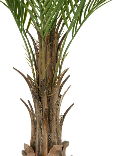 Kunstpalme Phönixpalme, Creativ green, Höhe 120 günstig online kaufen
