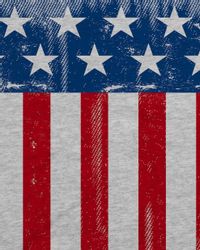 style3 T-Shirt US Flagge vereinigte staaten günstig online kaufen