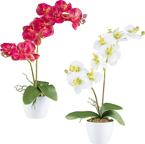 Creativ green Kunstorchidee "Orchidee Phalaenopsis", mit real-touch-Blüten günstig online kaufen