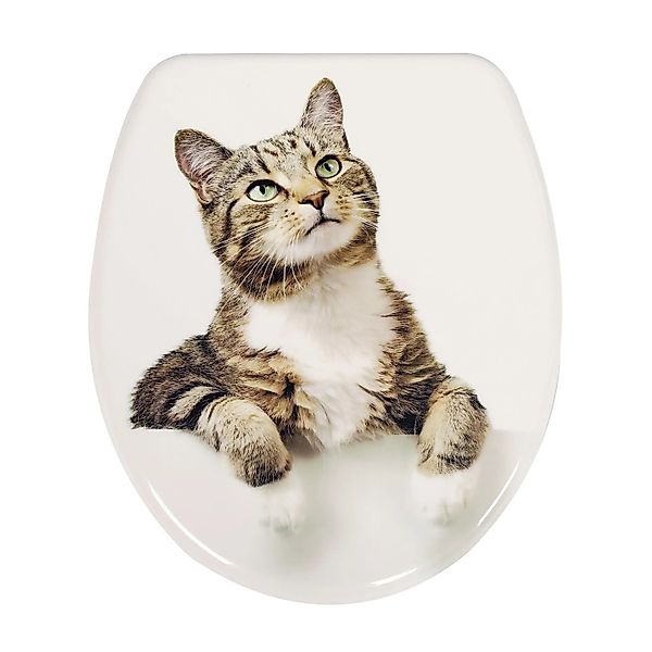 SINOBATH Duroplast Toilettensitz Mit Sanftschließ Funktion UF12-390 günstig online kaufen