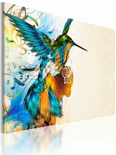 artgeist Wandbild Bird's music mehrfarbig Gr. 60 x 40 günstig online kaufen