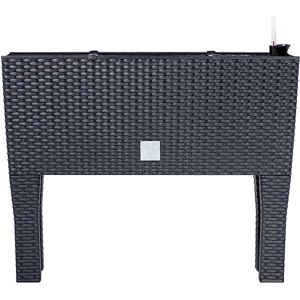 Prosperplast Blumentopf DRTC600H, Blumentopf + Bewässerungssystem günstig online kaufen