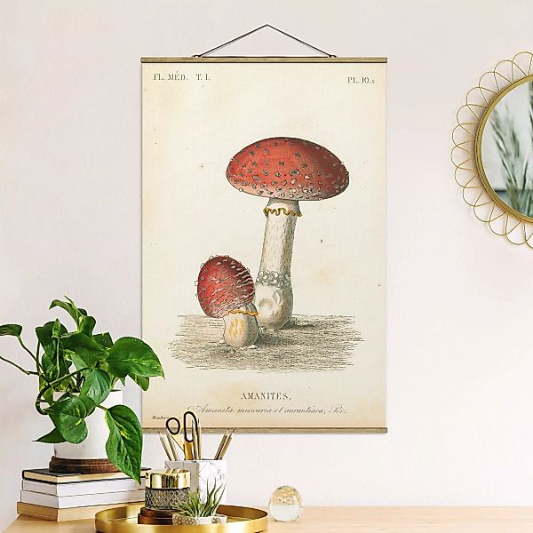Stoffbild mit Posterleisten Französische Pilze II günstig online kaufen