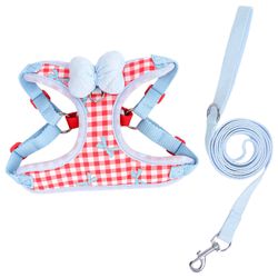 Refttenw Hunde-Geschirr Hundegeschirr mit Hundeleine Kleine günstig online kaufen