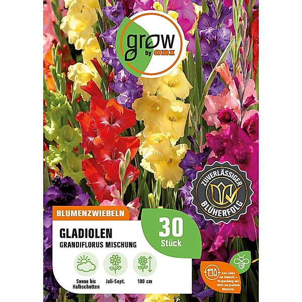 GROW by OBI Gladiolen Grandiflorus Mischung Höhe 100 cm Gladiolus grandiflo günstig online kaufen