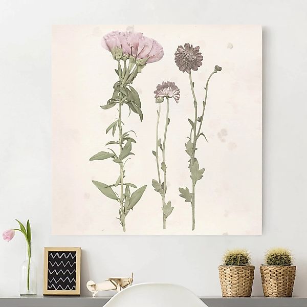 Leinwandbild - Quadrat Herbarium in rosa III günstig online kaufen