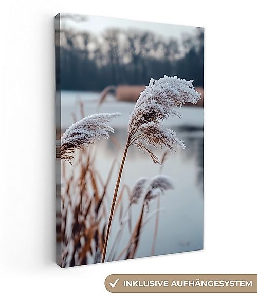 OneMillionCanvasses® Leinwandbild Schilf - Gras - Natur - Winter - See, Fot günstig online kaufen