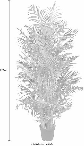 Kunstpalme Arecapalme Palme, Creativ green, Höhe günstig online kaufen