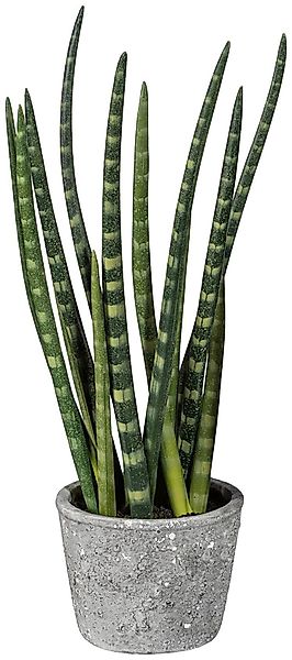 Kunstpflanze Sanseveria, Creativ green, Höhe 45 günstig online kaufen