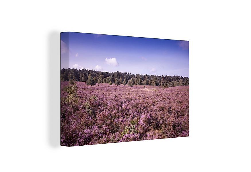 OneMillionCanvasses® Leinwandbild Darstellung der violetten Blumen in der L günstig online kaufen
