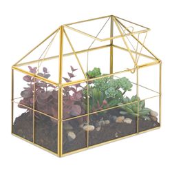 relaxdays Gewächshaus Pflanzenterrarium aus Glas Hausform, günstig online kaufen