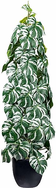 Creativ green Künstliche Zimmerpflanze "Splitphilodendron", mit säulenartig günstig online kaufen