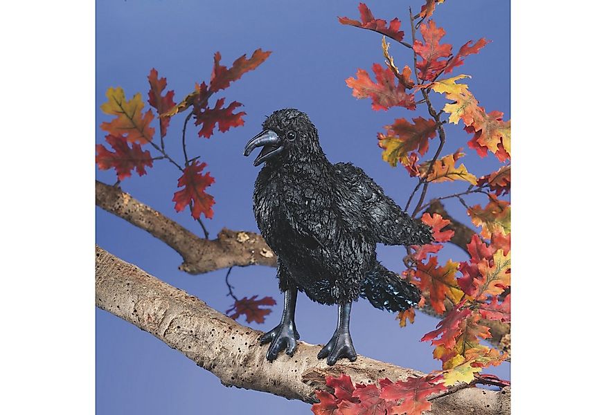 Folkmanis Handpuppen Handpuppe Folkmanis Krähe günstig online kaufen