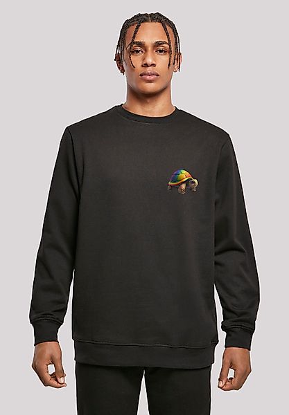 F4NT4STIC Kapuzenpullover "Rainbow Turtle CREWNECK", Print günstig online kaufen