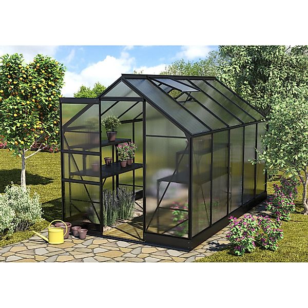 Vitavia Gewächshaus Apollo 6200 Schwarz 6,2 m² inkl. Fundament günstig online kaufen