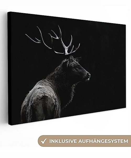 OneMillionCanvasses® Leinwandbild Hirsch - Schwarz - Weiß - Geweih, Fotodru günstig online kaufen